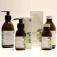 Marokkanische Minze-Bergsalbei + Vitamin B12 ‎(fluoridfrei), Starterset (Glasflasche + Pumpspender), 250 ml